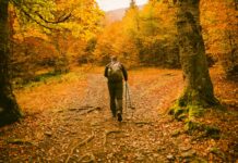 Mężczyzna na jesiennej leśnej ścieżce wśród kolorowych liści